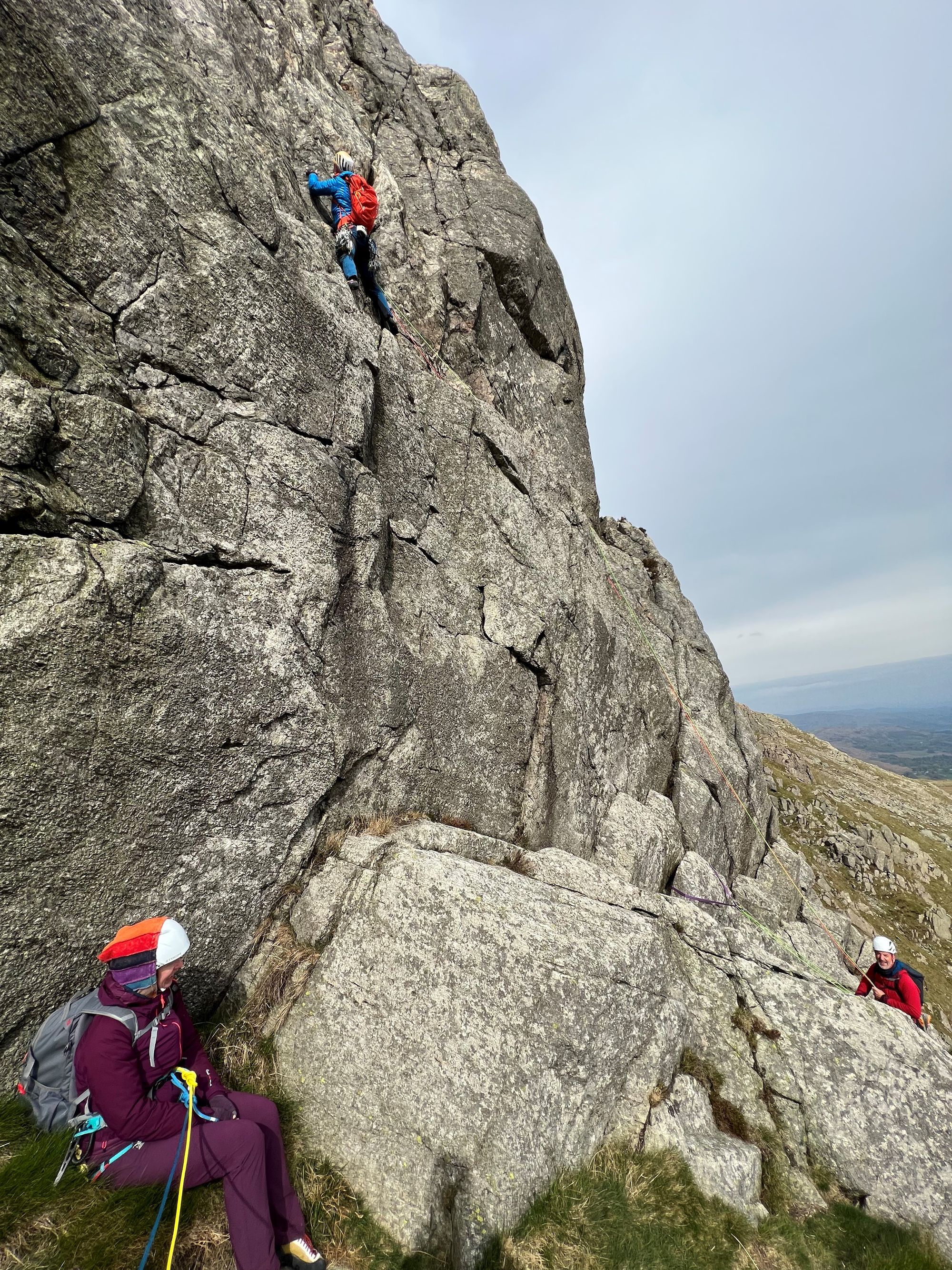 Gimmer - Ash Tree Slabs - 28 April 2022